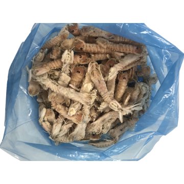 Galeras Friman Congeladas 2.5 Kg