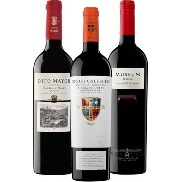 Estoig Gourmet Vins Nº1