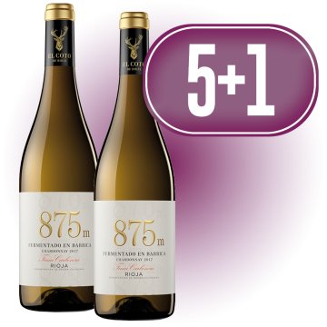 5 CAIXES COTO 875M CHARDONNAY FERMENTADO BARRICA + REGAL 1 CAIXA COTO 875M CHARDONNAY FERMENTADO BAR