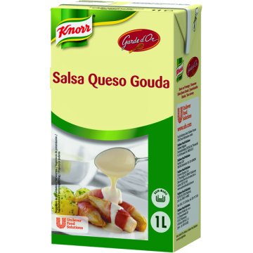 Salsa Knorr Queso Gouda Garde D Or Brik 1 Lt