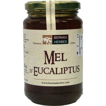 Miel Art.h.urgell Eucalipto 500 Gr Sr