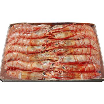 Gamba Vieirasa Langostinera Nº 2 Congelada 20/30 Caja 2 Kg