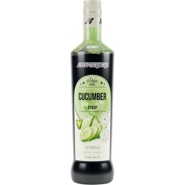 Xarop Polot 1882 Pepino 70 Cl