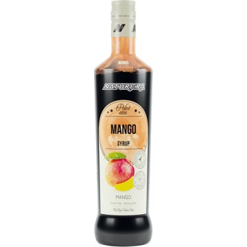 Xarop Polot 1882 Mango 70 Cl