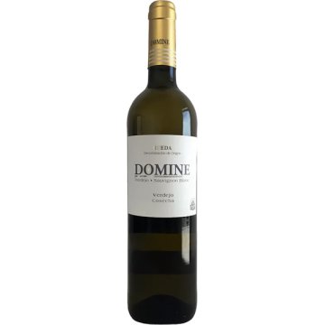 Vino Thesaurus Domine Blanco Verdejo 11º 75 Cl