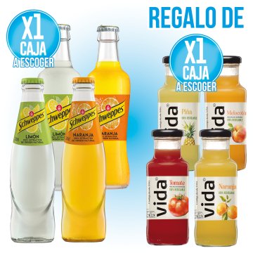1 SCHWEPPES CITRICO 200/275 RETORNABLE + REGALO 1 ZUMO VIDA