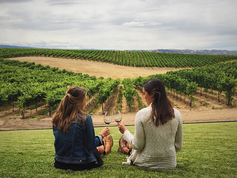 vinos do teruel